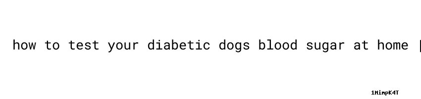 Photo inspiration: Picture Idea: How To Test Your Diabetic Dogs Blood Sugar At Home