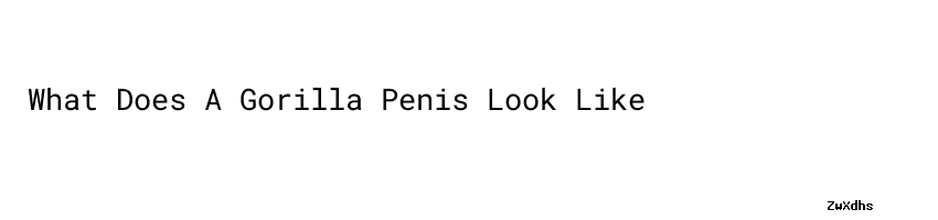 gorilla penis lenght
